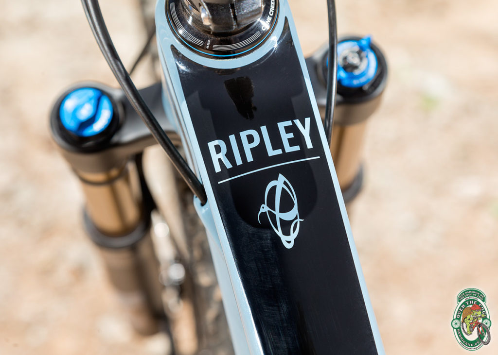 Top tube decal on the 2019 Ibis Ripley