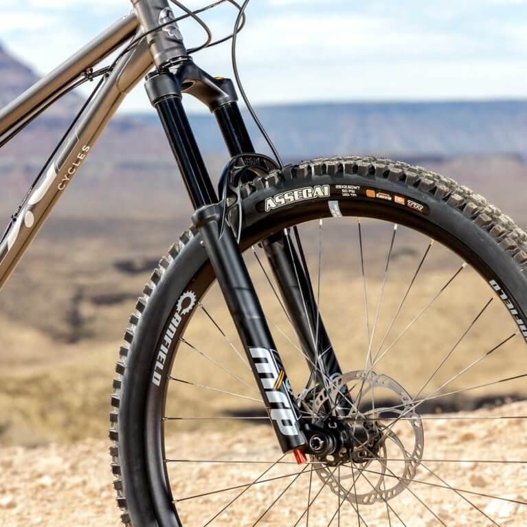 29’ER HARDTAIL BUILT BY CANFIELD