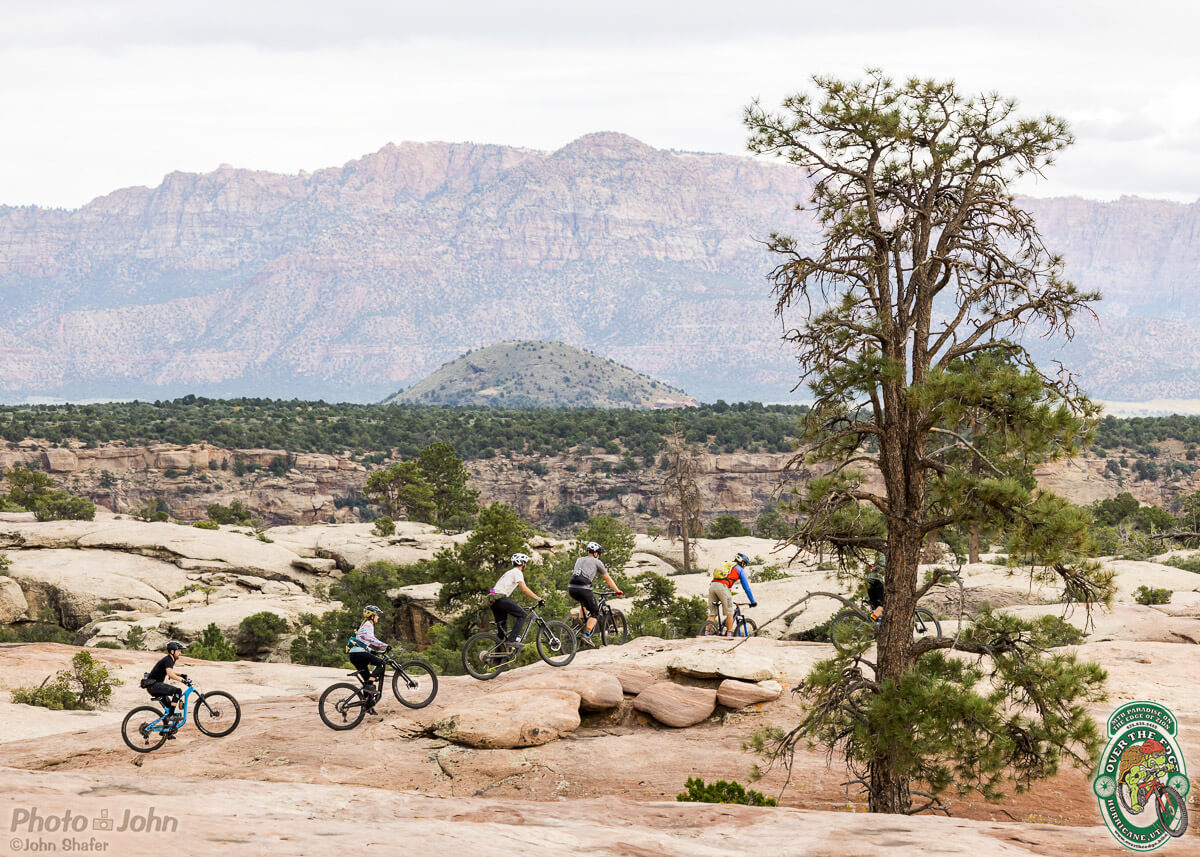 A photo of a Southern Utah landscape with a red rock mountain in the background and a large pine tree and line of mountain bikers riding over slickrock in the foreground.